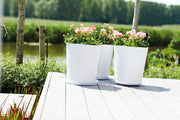 Elho Uni Saucer Round range – range lifestyle inspiration