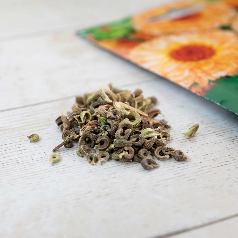 Natures Haven Calendula Cantaloupe