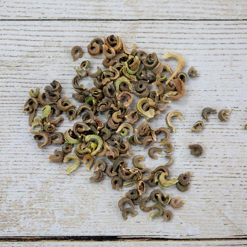 Natures Haven Calendula Cantaloupe