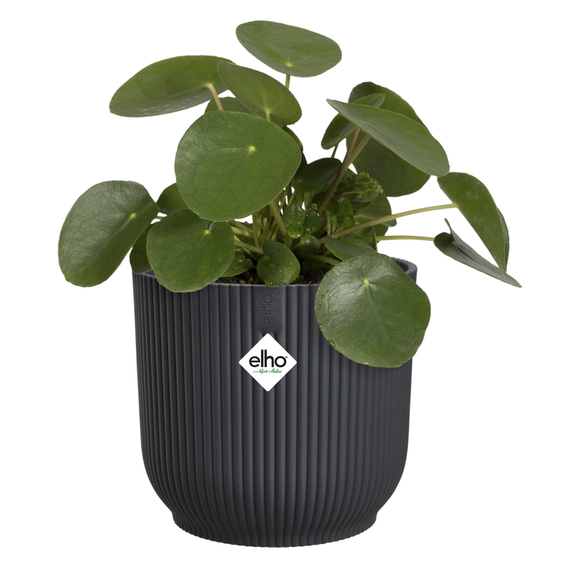 Elho Vibes Fold Round range – planted display
