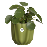 Elho Vibes Fold Round range – planted display