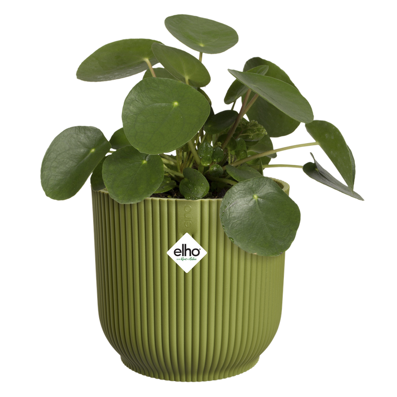 Elho Vibes Fold Round range – planted display