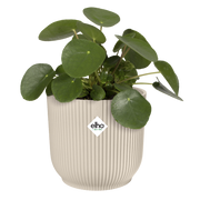 Elho Vibes Fold Round range – planted display