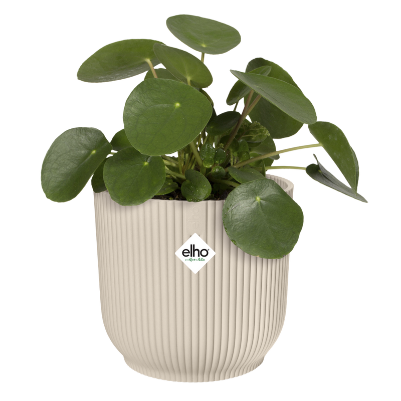 Elho Vibes Fold Round range – planted display