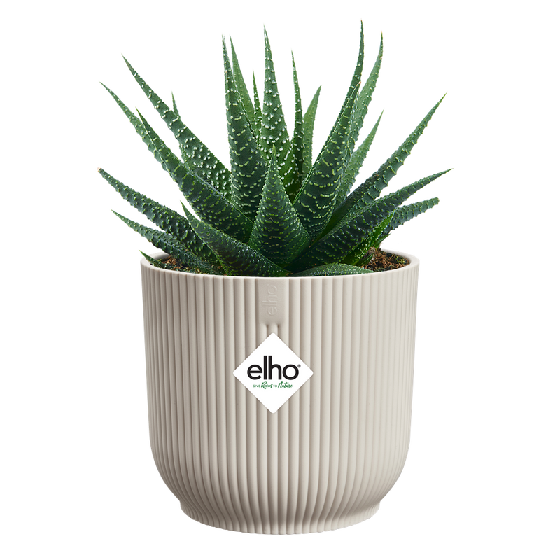 Elho Vibes Fold Round Mini range – planted display