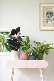Elho Vibes Fold Round range – additional product view