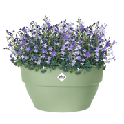 Elho Vibia Campana Bowl range – planted display