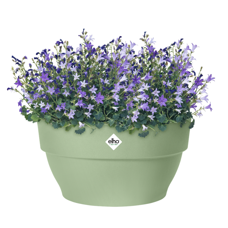 Elho Vibia Campana Bowl range – planted display