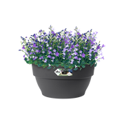 Elho Vibia Campana Bowl 27cm Anthracite – planted display