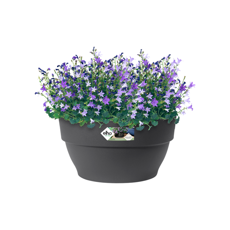 Elho Vibia Campana Bowl 27cm Anthracite – planted display