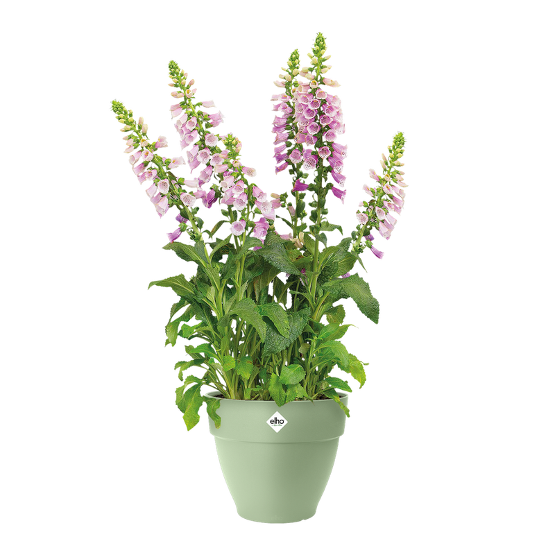 Elho Vibia Campana Round range – planted display