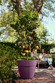 Elho Vibia Campana Round range – range lifestyle inspiration