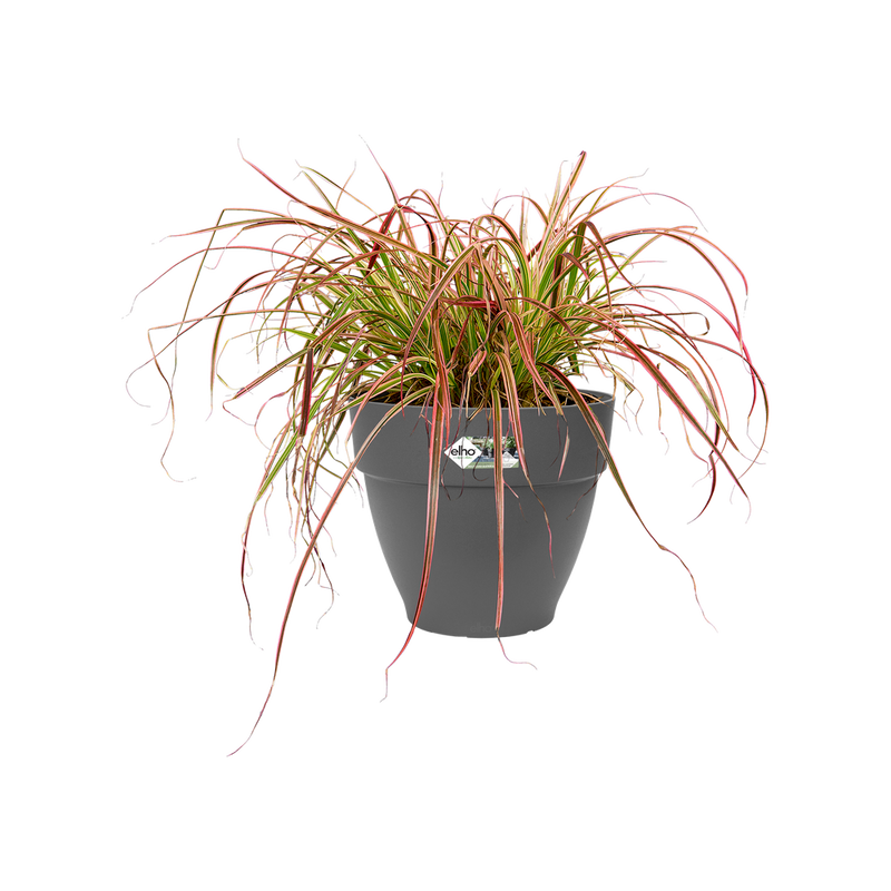 Elho Vibia Campana Round range – planted display