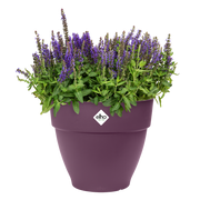 Elho Vibia Campana Round range – planted display