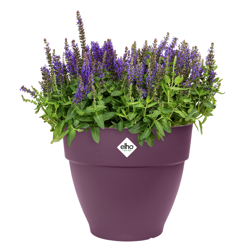 Elho Vibia Campana Round range – planted display