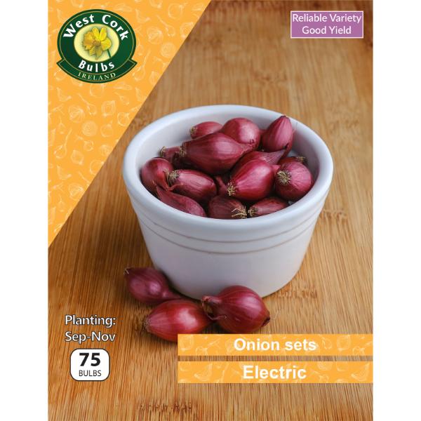 Electric Red Onion Sets (75 Bulbs per pack)