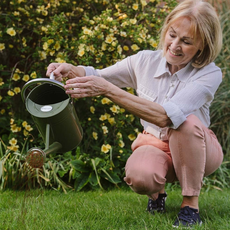 Westland SafeLawn Liquid Lawn Feed (1 litre)