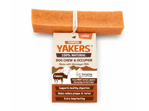 Yakers Pumpkin Dog Chew Large