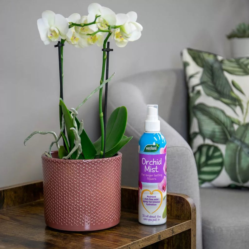 Westland Orchid Mist 250ml