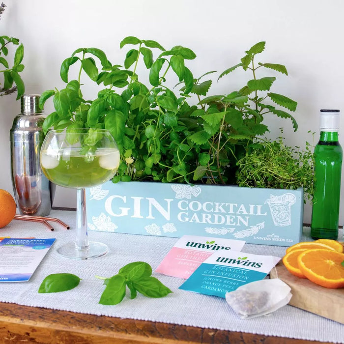 Homegrown Gin Cocktail Garden Kit — Newlands Garden Centre