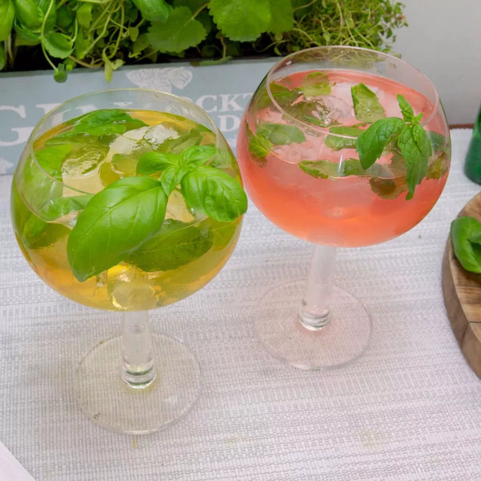 Homegrown Gin Cocktail Garden Kit