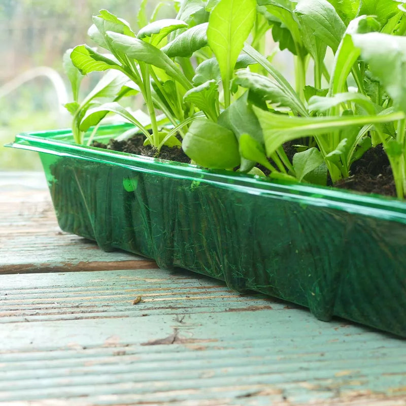 Gro-Sure Visiroot Seed Tray 4 pk