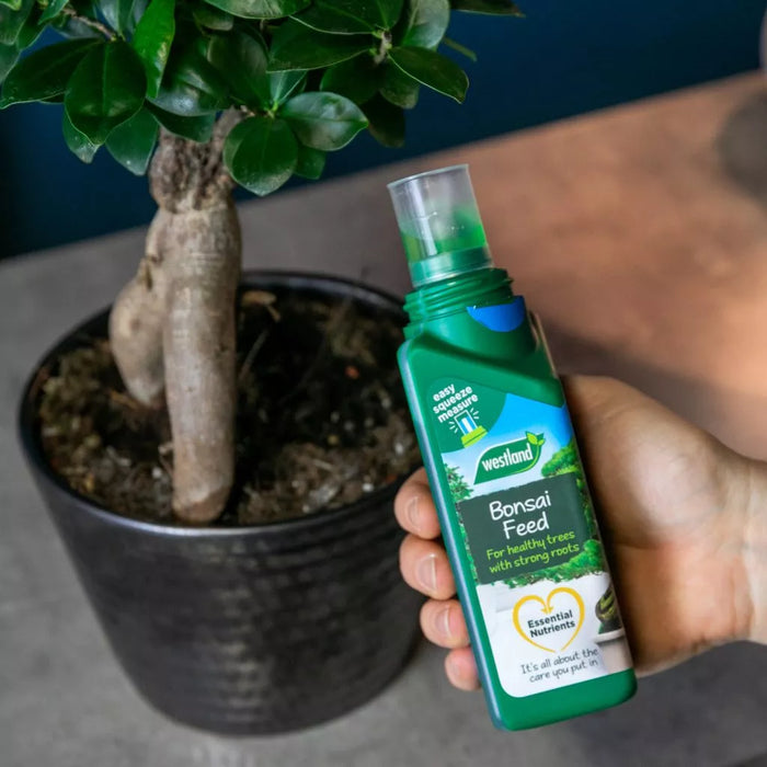 Westland Bonsai Feed 200ml — Newlands Garden Centre