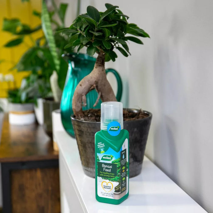 Westland Bonsai Feed 200ml — Newlands Garden Centre