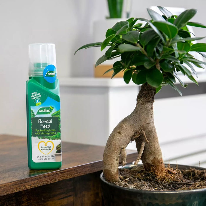 Westland Bonsai Feed 200ml — Newlands Garden Centre