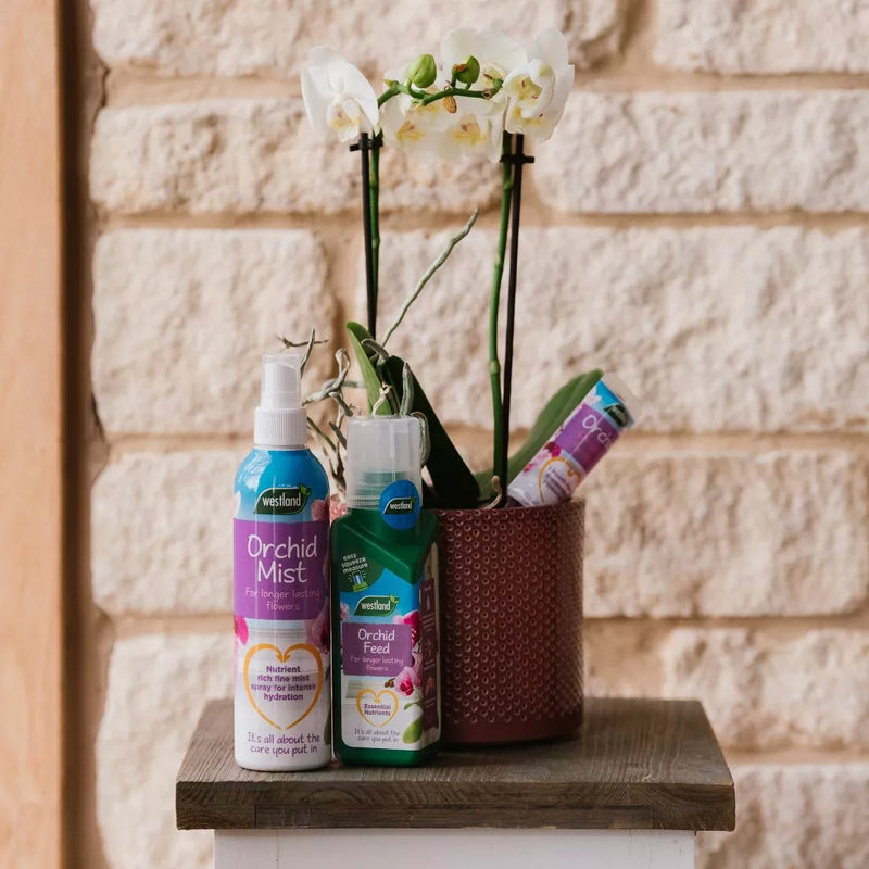 Westland Orchid Mist 250ml
