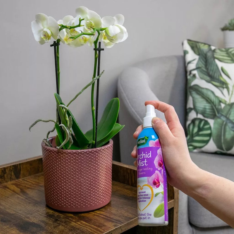 Westland Orchid Mist 250ml