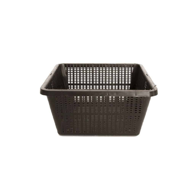 Water Marginal Basket Square 11cm