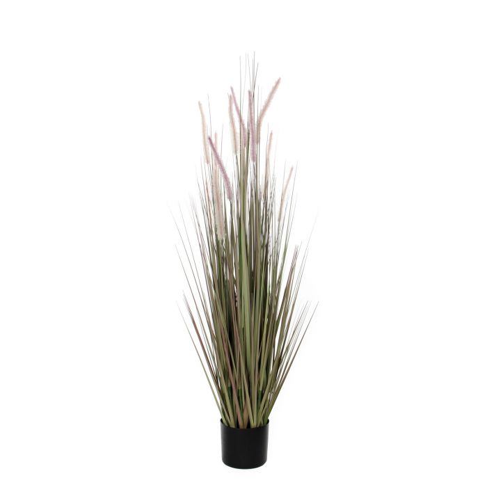Dogtail Purple Artificial Plant 17 x 150cm