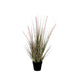 Dogtail Grass 53 x 30cm