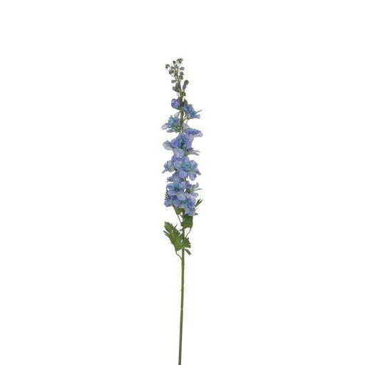 Delphinium Blue Flower