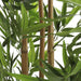 Bamboo in Pot Green 155 x 90cm