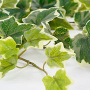 Ivy Hanging Artificial 86cm