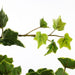 Ivy Hanging Green Variegated 130 x 24 x 15cm