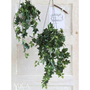 Ivy Hanging Green Variegated 130 x 24 x 15cm