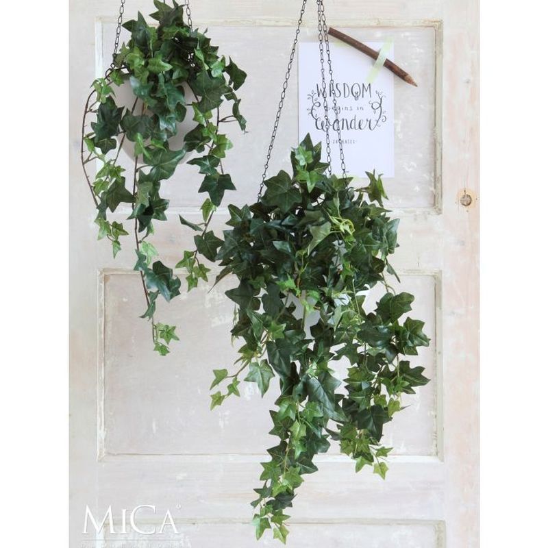 Ivy Hanging Green Variegated 130 x 24 x 15cm