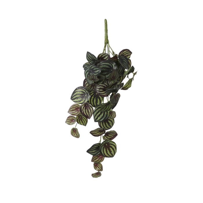 Artificial Peperomia Hanging Plant 58cm — Newlands Garden Centre