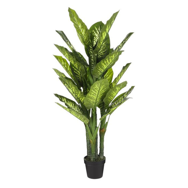 silk dieffenbachia Artificial Dieffenbachia in Pot Green 150 x 70cm — Newlands Garden Centre