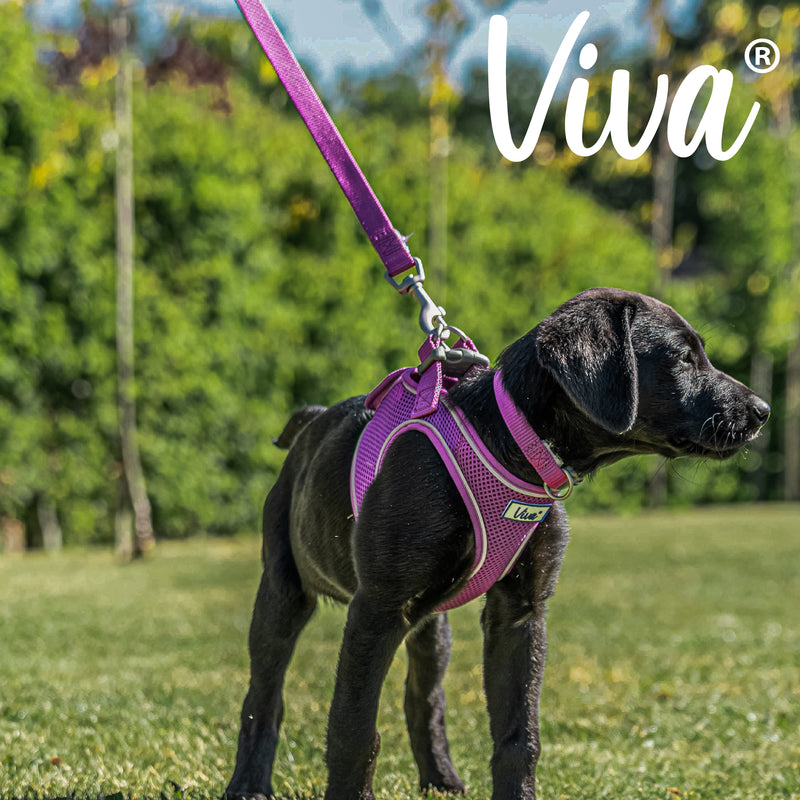 Ancol Viva Padded Nylon Lead Black 1/2 x 42 Inch