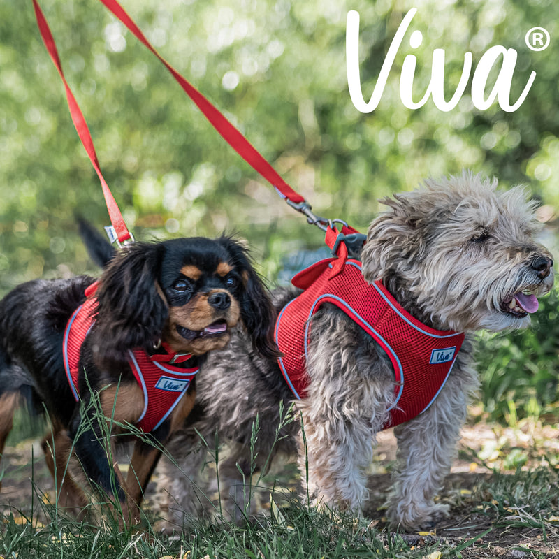 Ancol Viva Padded Nylon Lead Red 25mm x 1m