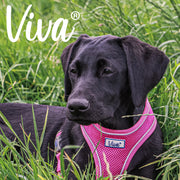 Ancol Viva Comfort Harness Small 34-45cm Pink