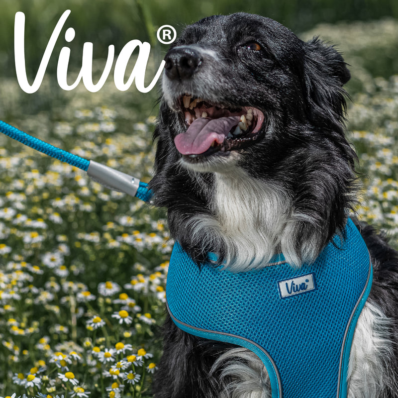 Ancol Viva Comfort Mesh Dog Harness Blue Small (34-45cm Chest)