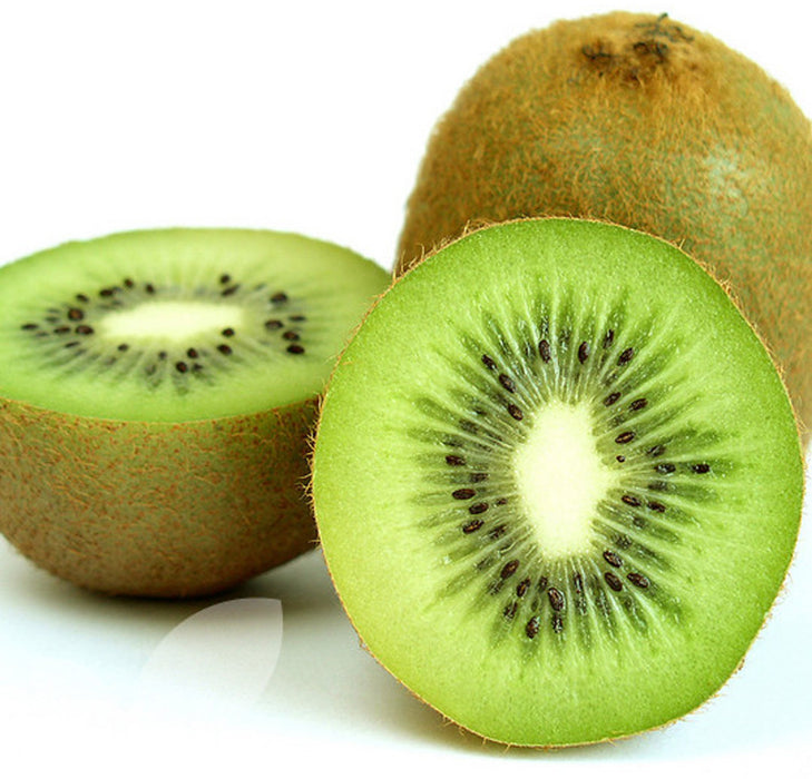 Actinidia Deliciosa 'Jenny' | Self Fertile Kiwi Fruit