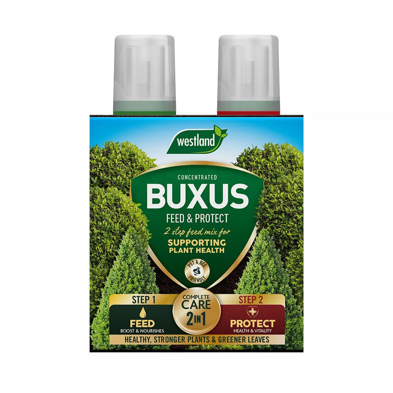 Westland Buxus 2 in 1 Feed and Protect 2 x 500ml