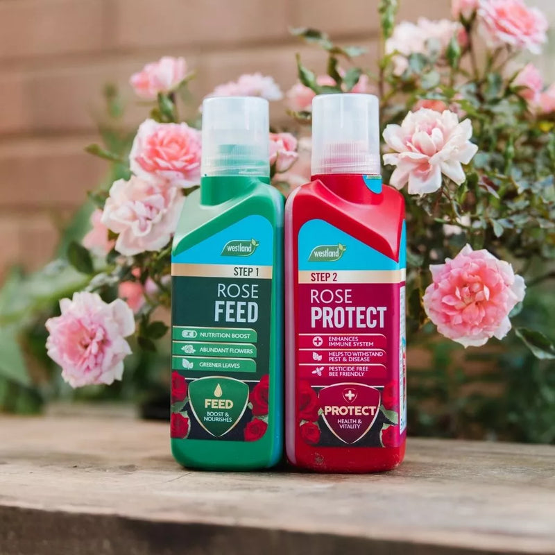 Westland Rose 2 in 1 Feed and Protect 2 x 500ml