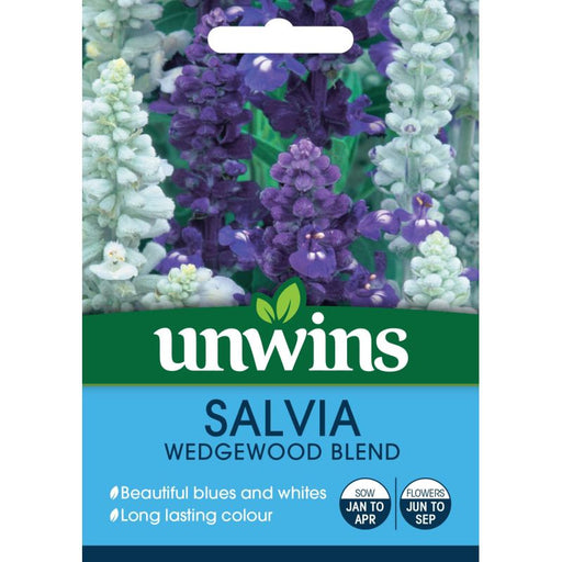 Salvia Wedgewood Blend